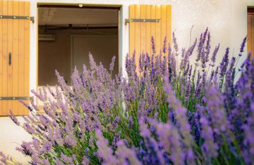 Puechoursi Apartment | Gîte Lempery