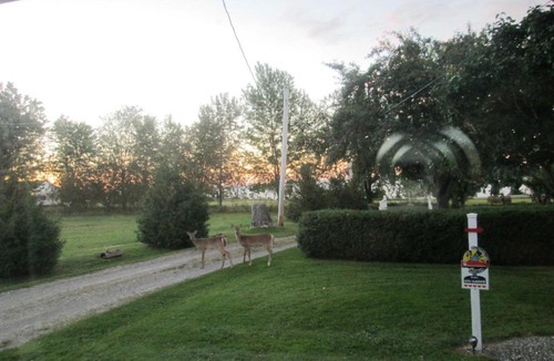 Port-Daniel Bed & Breakfast | Gîte Les Acres Tranquilles B&B