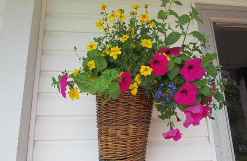 Port-Daniel Bed & Breakfast | Gîte Les Acres Tranquilles B&B