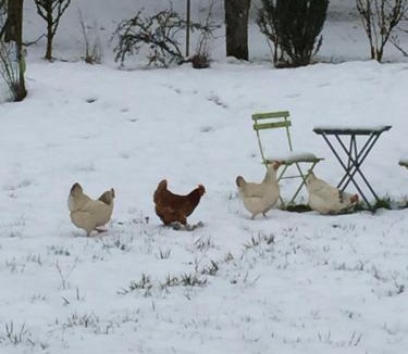 Remilly-les-Pothees House | Gîte LES ARMINAUX