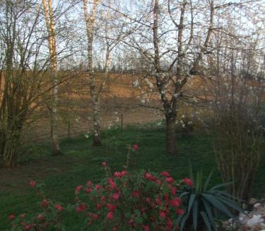 Bossus-les-Rumigny House | gîte les bois georges