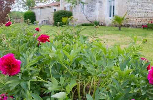 Doix-les-Fontaines House | Gîte les Bougrines - Marais Poitevin, South Vendée