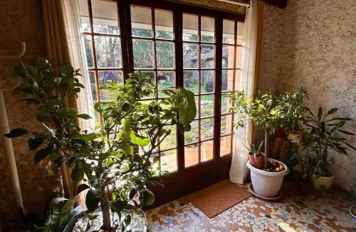 Saint-Geraud-de-Corps House | Gîte les Cèdres Dordogne