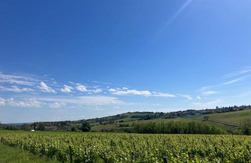 Les Echets Apartment | Gîte Les Cèdres
