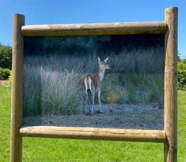 Neung-sur-Beuvron House | Gîte Les Carelles