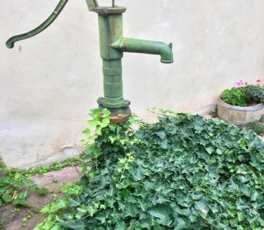 Maennolsheim House | Gîte Les Chotzi's