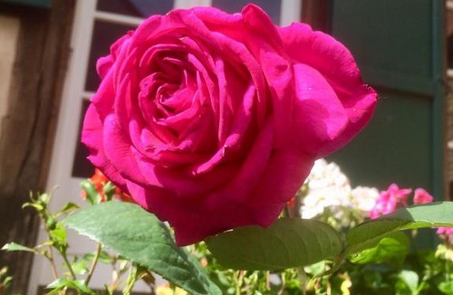 Maennolsheim House | Gîte Les Chotzi's