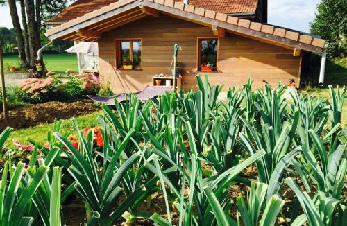 Orchamps-Vennes House | Gîte Les Cigognes