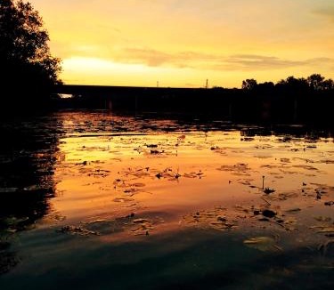 Lux House | Gîte Les Galins
