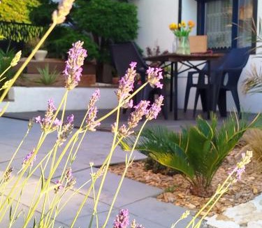 Lux House | Gîte Les Galins