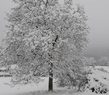 Puygros House | Gîte Les Mésanges