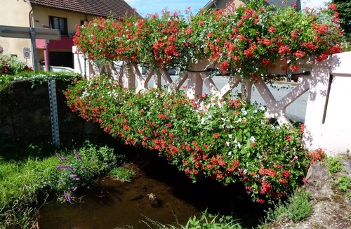 Rougegoutte House | Gîte Les Mésanges