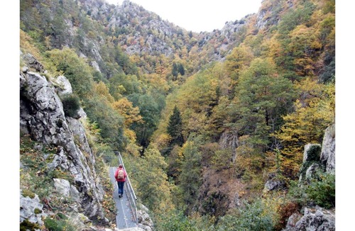 Prugnanes House | Gîte Les Mimosas