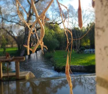 Le Vieil-Bauge House | Gîte les pieds dans l'eau