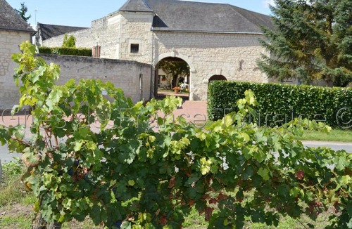 Ligre House | Gîte Ligré, 2 pièces, 2 personnes - FR-1-381-437