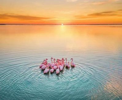 Mireval Apartment | Gîte Lo Becarut L'Escapade Des Flamants Roses