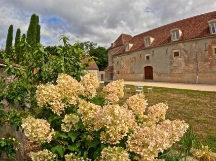Magny Apartment | Gîte Louis Pasteur - cuisine ouverte