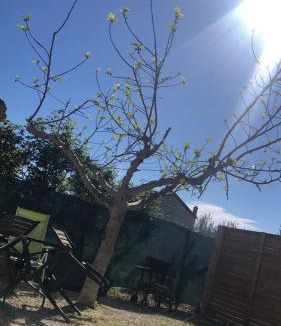 Sablet Apartment | Gîte Luna