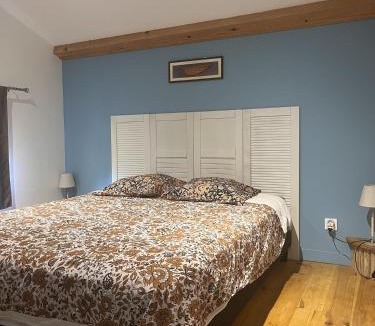 Sainte-Foy-Saint-Sulpice House | Gîte nature et spa