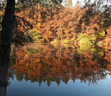 Asswiller Ski Chalet | Gîte nature en Alsace Bossue