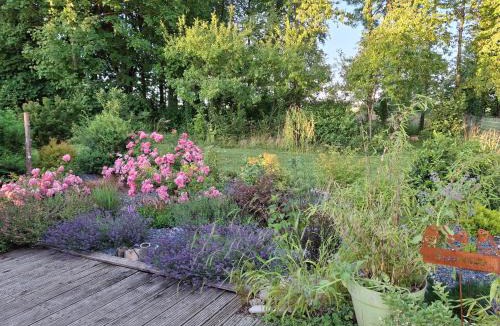 Aubreville House | Gîte Nature et détente