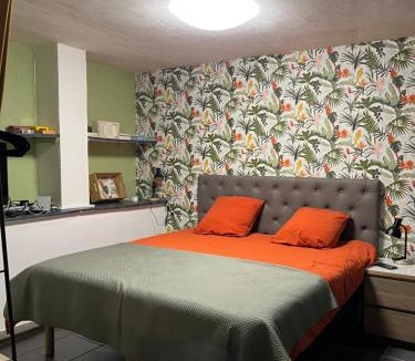 Saint-Florent-sur-Auzonnet Apartment | Gîte Olivia