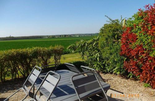 Vennecy House | Gîte paisible près d'Orléans, animaux admis, terrasse et jardin - FR-1-590-584