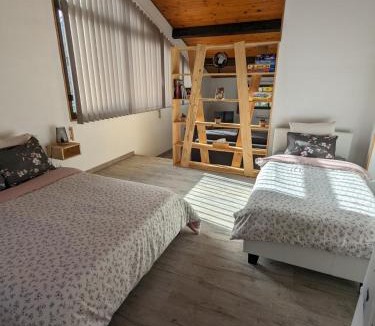 Tarascon-sur-Ariege Apartment | Gîte Reflets de Montagnes