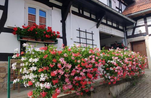 Hunspach Apartment | GÎte rue de l'Ange