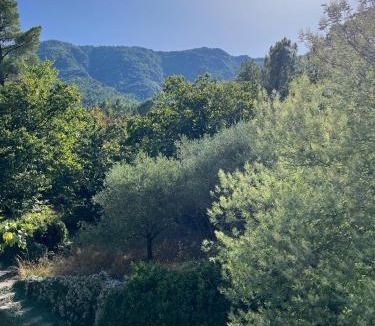 Gravieres Apartment | Gîte sensation