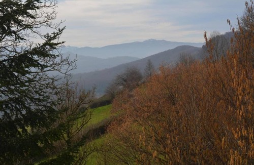 Pereille Cottage | Gîte Studio "Tara" - Pyrenees Mountains - Ariège