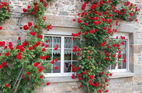 Mont-Dol House | Gîte Ti ar Rozenn