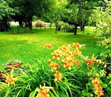 Pouillon Apartment | Gîte Villa LORTIN