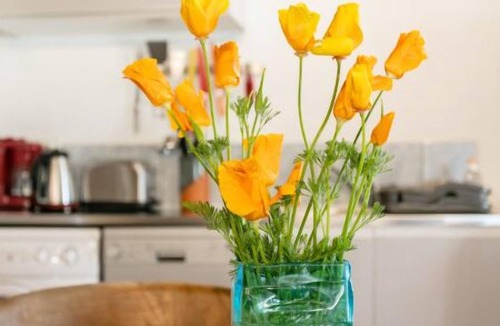 Payrac House | Gîte Yucca