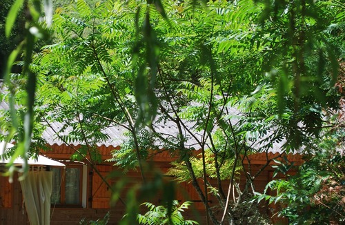 Lamothe-Fenelon Apartment | Gîtes between Périgord and Quercy