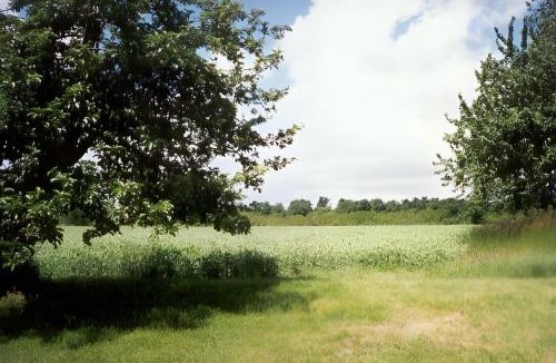 Allonnes House | Gîtes Boumelle Vallée de la Loire