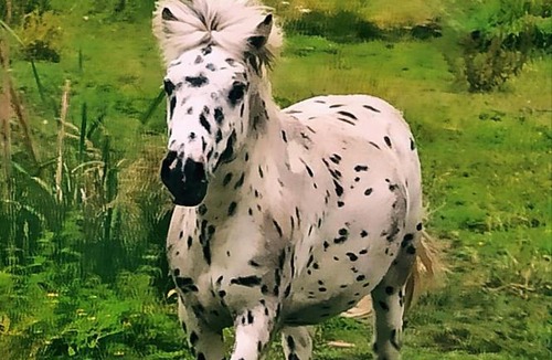 Begadan House | Gîtes By Medoc