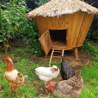 Begadan House | Gîtes By Medoc