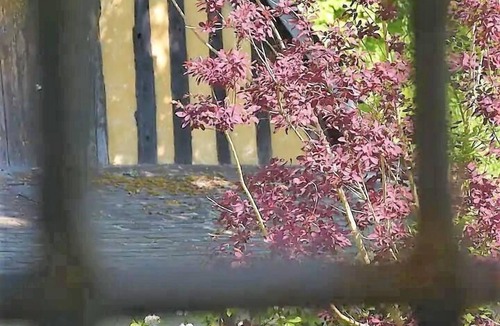 Villequier House | Gîtes de France® - La Maison Blanche