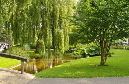 Saint-Christophe de la Foret Apartment | Gîtes de France® - Le Nid de Verdure
