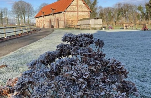 Thiergeville House | Gîtes de France® - The hydrangea barn