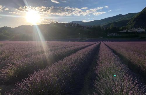 Curbans Apartment | Gîtes de La Condamine