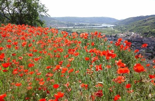 Sarras House | Gîtes de Revirand