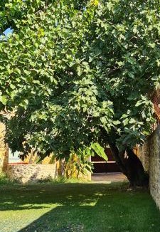 Sabran Apartment | Gîtes du Plus Bas Mas