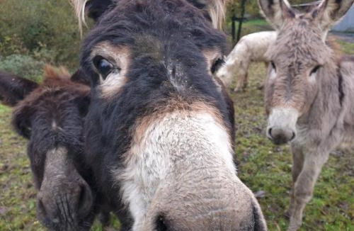 Montory House | Gîtes ETCHE ARGUINIA