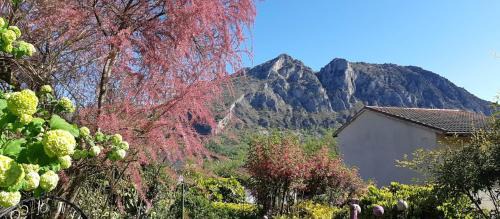 Tarascon-sur-Ariege Apartment | Gîtes le Clos des Pradals