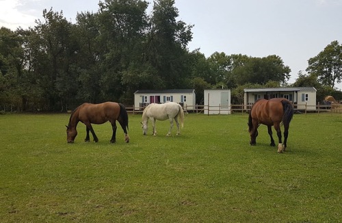 Le Cailar House | Gîtes le Petit Paradis