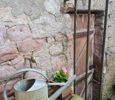 Saint-Die House | Gîtes Le Séchoir