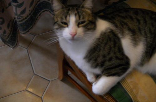 Podensac House | Gîtes Les Tuilières