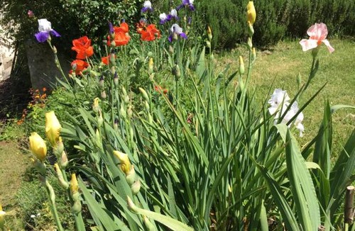Payrac House | Gîtes Oasis du Lot